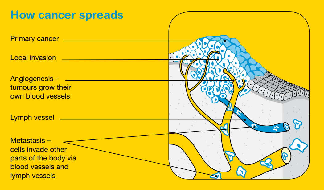 Introduction to Cancer · Syllabus